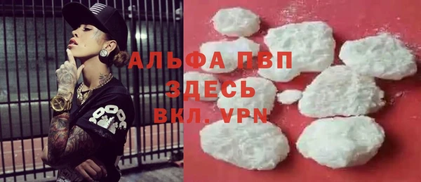 спиды Корсаков